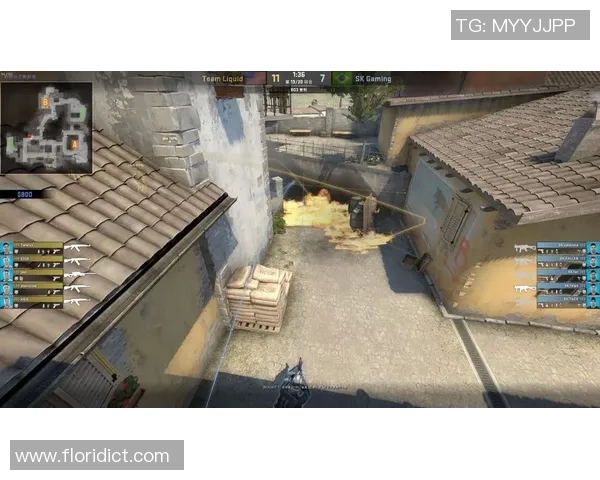 DOTA2热点分析：深入探讨BLG战队的防守策略与战术布局