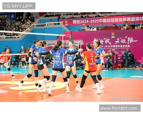 上海排球队实力解析与发展展望深度剖析排球运动的魅力与挑战